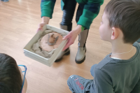 0-02-05-af67f3fe6ac0f8809009beb7326be163da4734a751975e1e931b3645aa27ba52_cd2d64207a9dc926