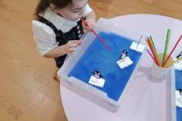 0-02-05-17501cc4a7317db869511767f7c90672ac06085d5c6c8d774d6aa0fe0736638b_804646233050cc4b