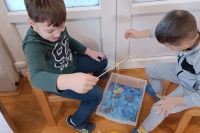 0-02-05-f8872d5208a520a319312815115fab289d1db2517a26f925abb8e146256743aa_6039336347056a55